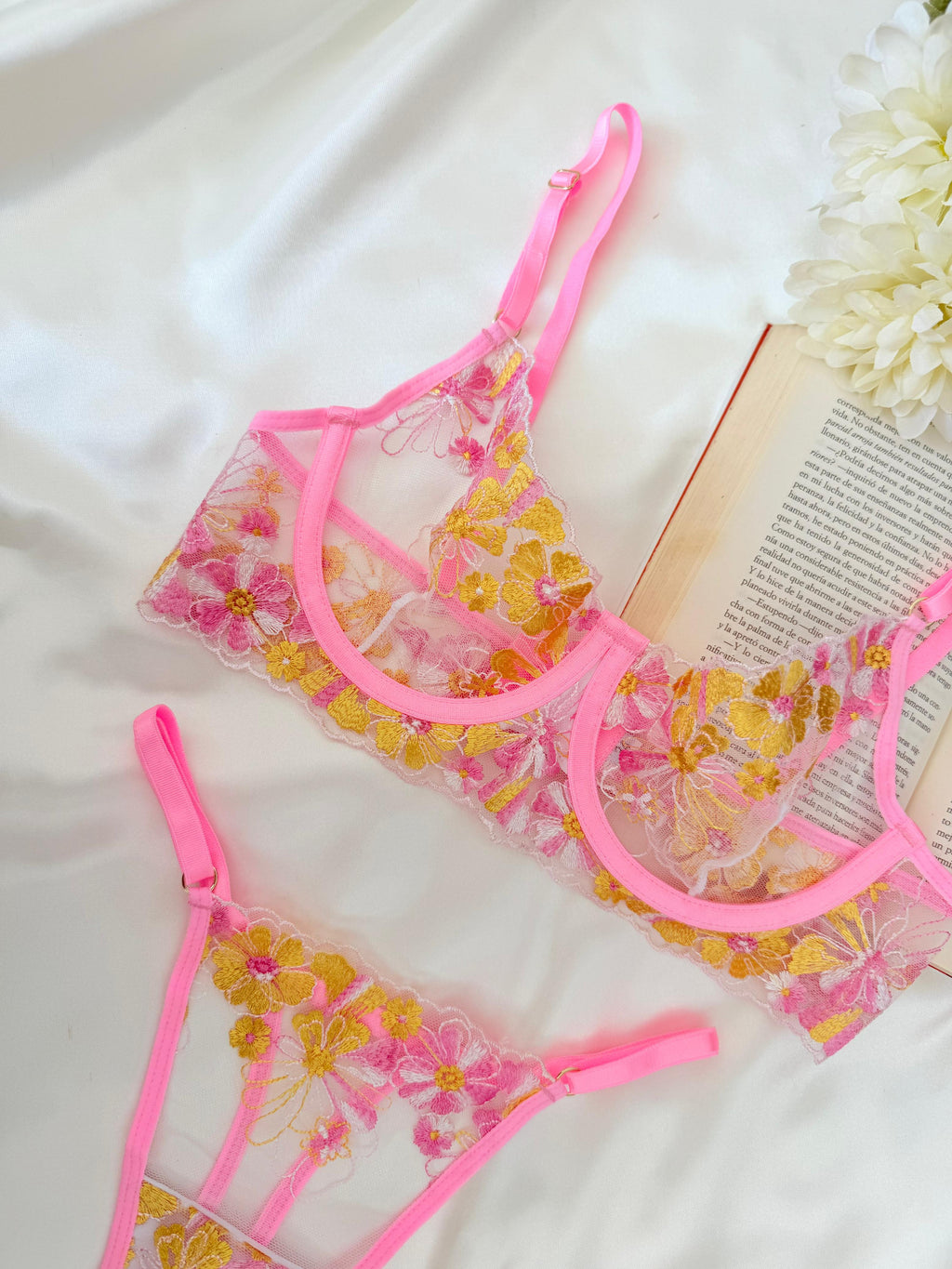 SET SALOME
